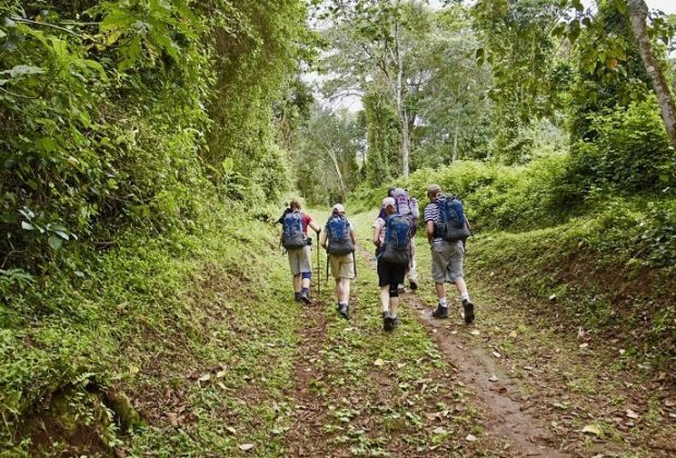 Kilimanjaro Day Hiking2