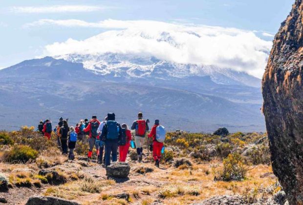 Kilimanjaro Day Hiking3
