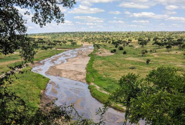 Tarangire National Park3