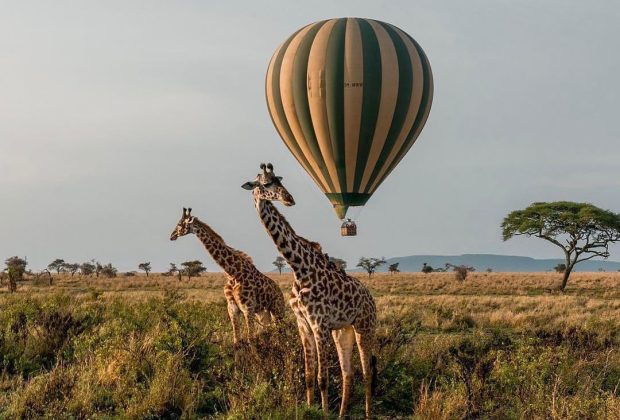 serengeti national park1