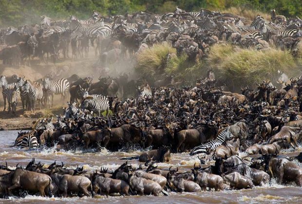 serengeti national park3